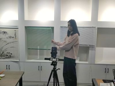 小窗簾撬動大產業，電商連通致富路——窗飾產業的興旺發展與電商轉型之路